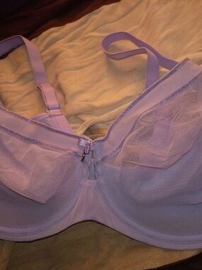 Curvy Couture Lavender Mesh Underwire Bra with Bow Accent